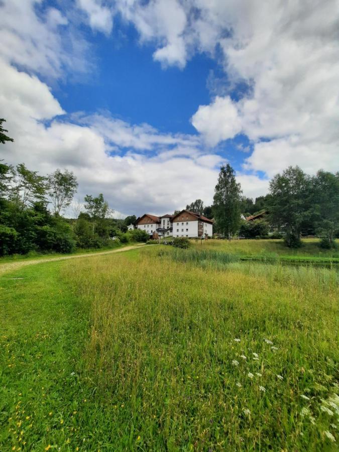 Arberapartment Bayerisch Eisenstein Exteriér fotografie